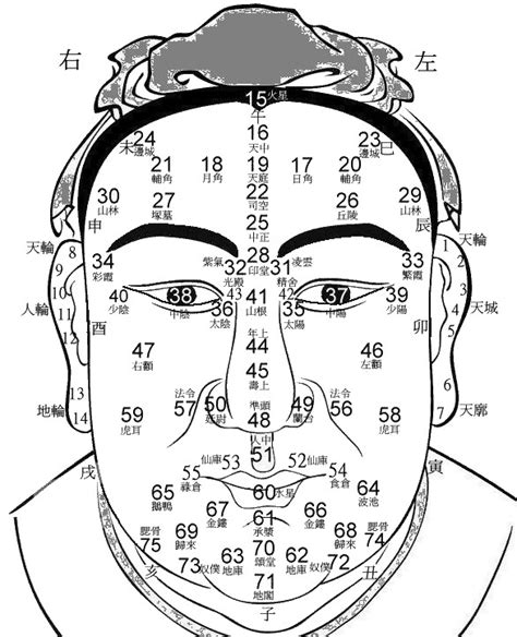 面相歲數|1到100岁，面相流年气运图教你如何看自己的面相